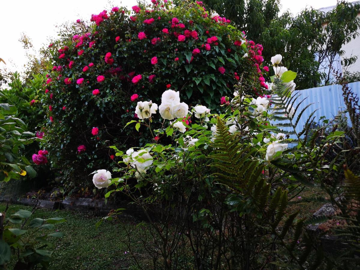 Hello Seaview! 4 Brs House In Central Location! Oamaru Exteriér fotografie