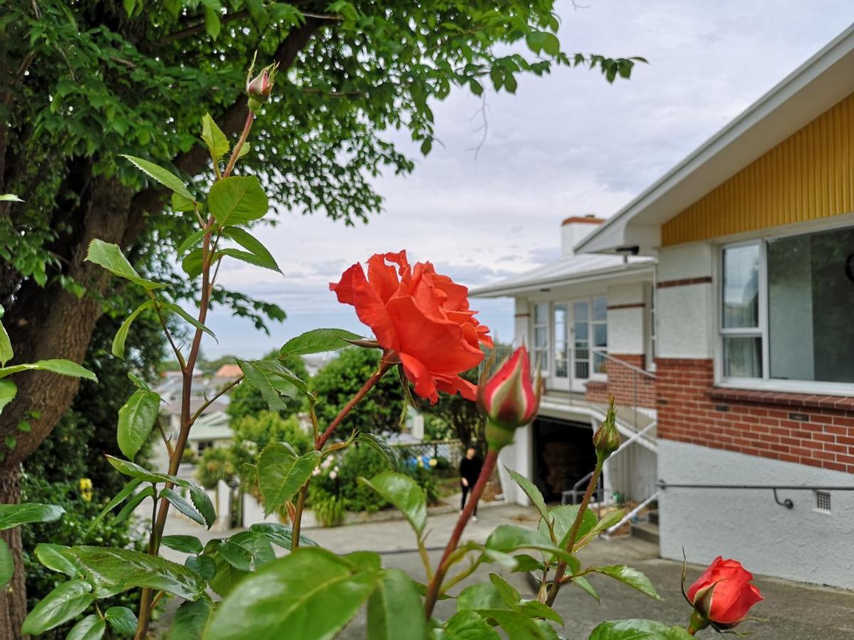 Hello Seaview! 4 Brs House In Central Location! Oamaru Exteriér fotografie